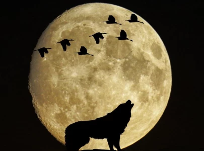 Wolf Moon to light up skies in North America tonight